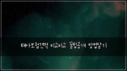 태아보험견적 비교비교 꿀팁공개 방법알기
