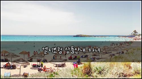 엘지보험 상품안내  자녀