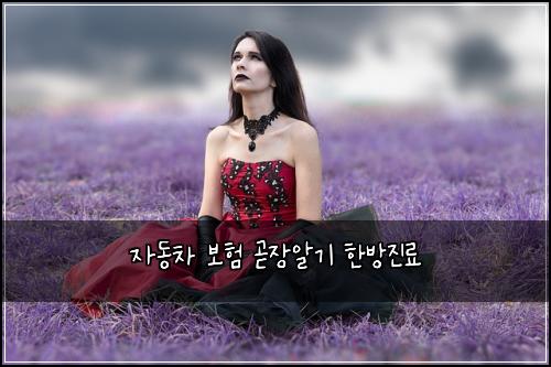 자동차 보험 곧장알기  한방진료