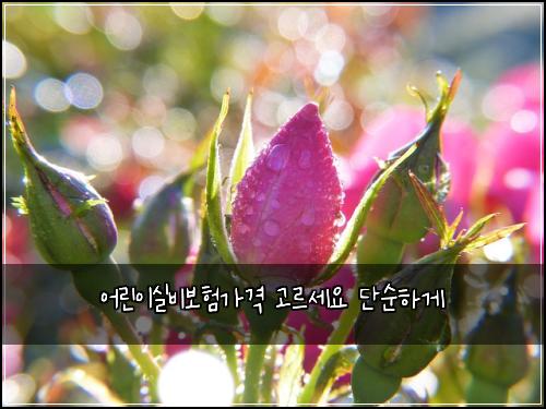 ์ด๋ฆฐ์ด์ค๋น๋ณดํ๊ฐ๊ฒฉ ๊ณ ๋ฅด์ธ์ ๋จ์ํ๊ฒ