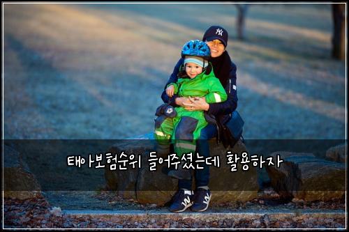 태아보험순위 들어주셨는데 활용하자