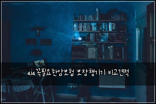aia꼭필요한암보험 보장챙기기  비교견적