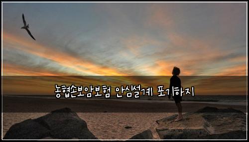 ๋ํ์๋ณด์๋ณดํ ์์ฌ์ค๊ณ ํฌ๊ธฐํ์ง