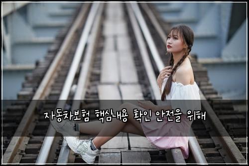 ์๋์ฐจ๋ณดํ ํต์ฌ๋ด์ฉ ํ์ธ ์์ ์ ์ํด