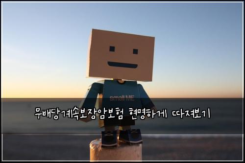 무배당계속보장암보험 현명하게 따져보기
