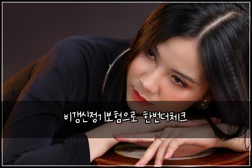 비갱신정기보험으로 한번더체크