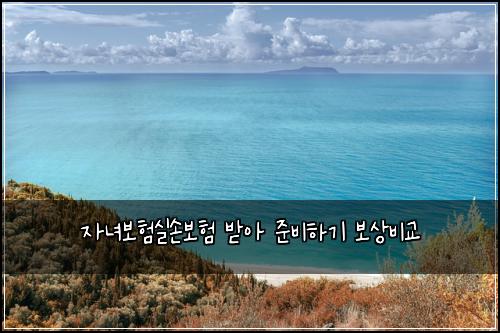 μλ
보νμ€μ보ν λ°μ μ€λΉνκΈ° 보μλΉκ΅