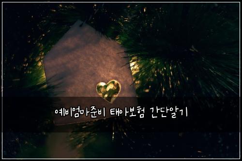 ์๋น์๋ง์ค๋น ํ์๋ณดํ ๊ฐ๋จ์๊ธฐ