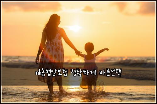 nhλνμ보ν μ‘ννκ² λ°λ₯Έμ ν