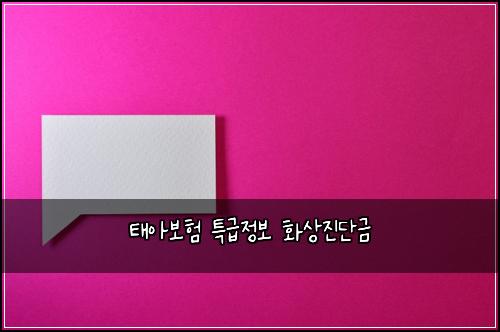 태아보험 특급정보  화상진단금