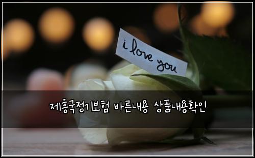 제흥국정기보험 바른내용  상품내용확인