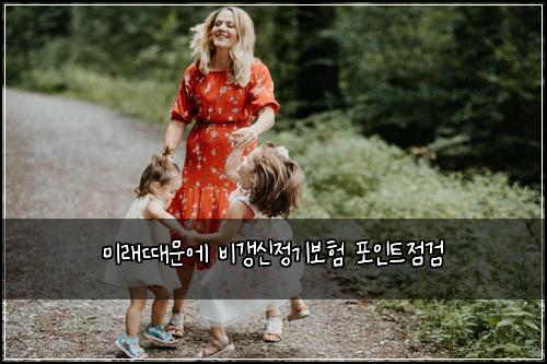 미래때문에 비갱신정기보험 포인트점검 