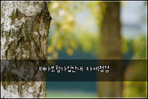 태아보험가입안내 자세점검