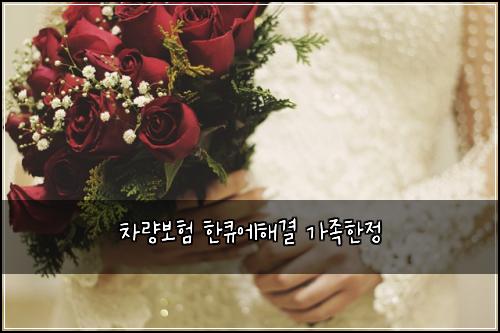 차량보험 한큐에해결  가족한정