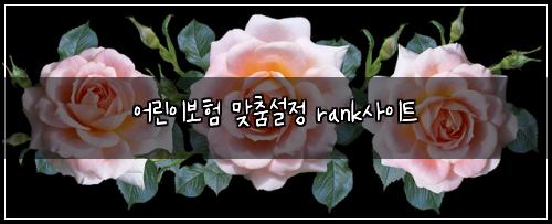 ์ด๋ฆฐ์ด๋ณดํ ๋ง์ถค์ค์ rank์ฌ์ดํธ