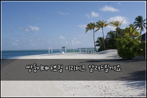 쌍둥이태아보험 미리체크  알려드릴께요