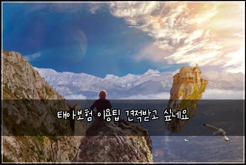 태아보험 이용팁  견적받고 싶네요