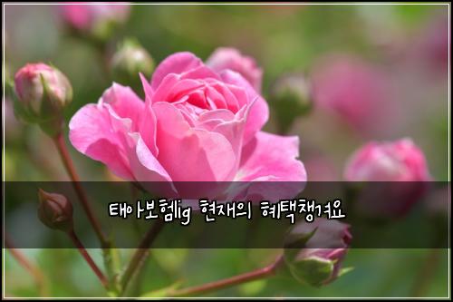 태아보험lig 현재의 혜택챙겨요