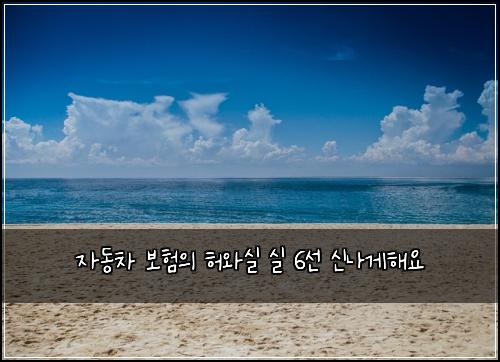 자동차 보험의 허와실 실 6선 신나게해요