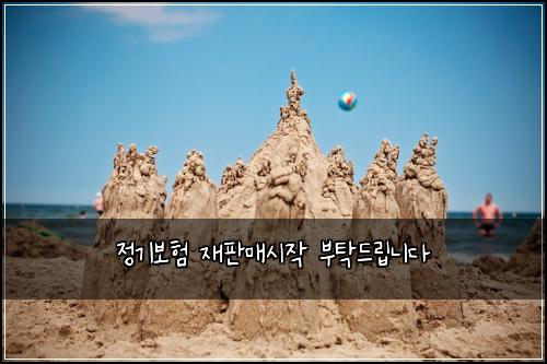 정기보험 재판매시작  부탁드립니다