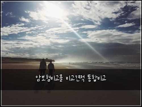 암보험비교몰 비교견적 통합비교