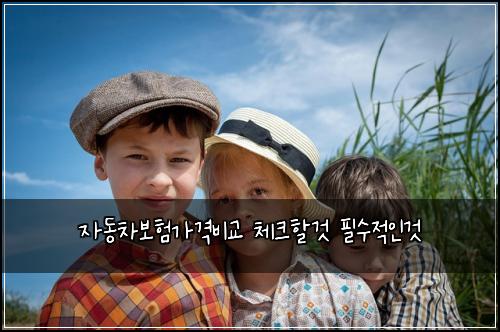 μλ차보νκ°κ²©λΉκ΅ 체ν¬ν κ² νμμ μΈκ²