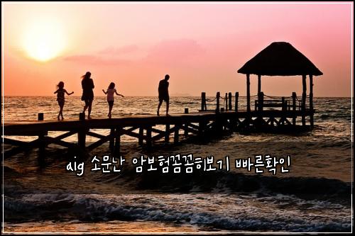 aig ์๋ฌธ๋ ์๋ณดํ๊ผผ๊ผผํ๋ณด๊ธฐ ๋น ๋ฅธํ์ธ