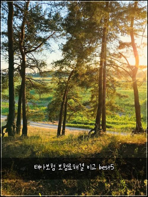 태아보험 보험료해결  비교 best5