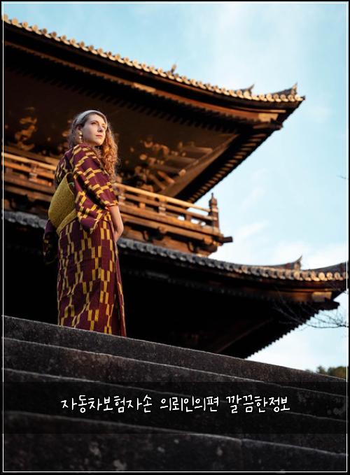 자동차보험자손 의뢰인의편 깔끔한정보