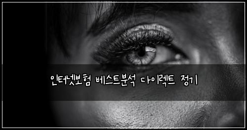 인터넷보험 베스트분석  다이렉트 정기