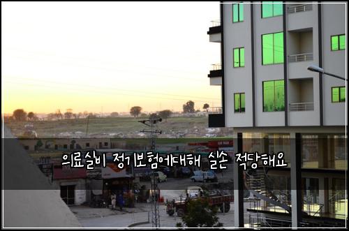 의료실비 정기보험에대해 실손 적당해요