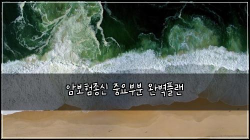 ์๋ณดํ์ข
์ ์ค์๋ถ๋ถ ์๋ฒฝํ๋