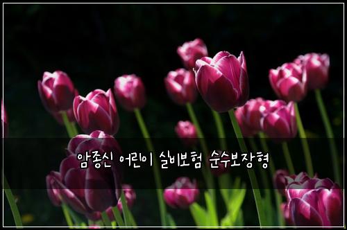 암종신 어린이 실비보험 순수보장형 