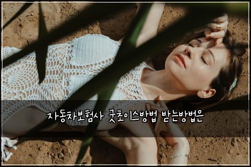 ์๋์ฐจ๋ณดํ์ฌ ๊ตฟ์ด์ด์ค๋ฐฉ๋ฒ ๋ฐ๋๋ฐฉ๋ฒ์