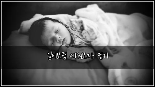 ์ค๋น๋ณดํ ์ธ์๋ณด์ ์ ๊ธฐ