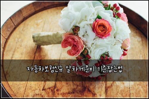자동차보험신규 알차게준비 기준잡는법