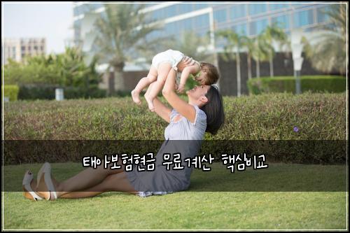 ํ์๋ณดํํ๊ธ ๋ฌด๋ฃ๊ณ์ฐ ํต์ฌ๋น๊ต