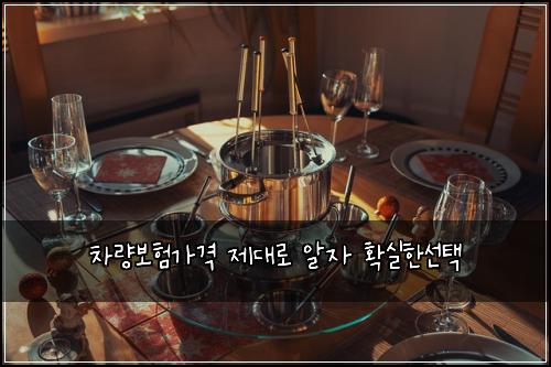 차량보험가격 제대로 알자 확실한선택