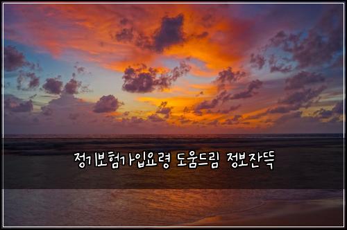 ์ ๊ธฐ๋ณดํ๊ฐ์
์๋ น ๋์๋๋ฆผ ์ ๋ณด์๋ฉ
