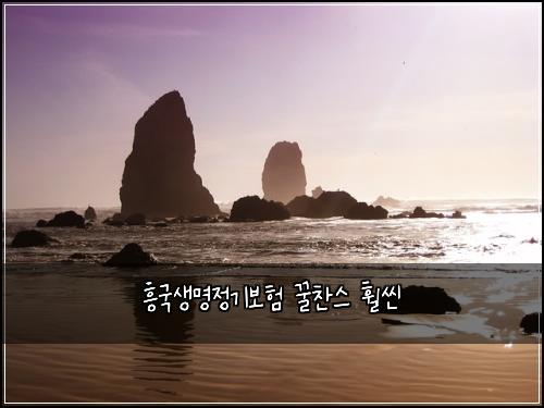 흥국생명정기보험 꿀찬스  훨씬