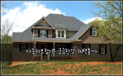 자동차보험기본 궁금한것 혜택볼까