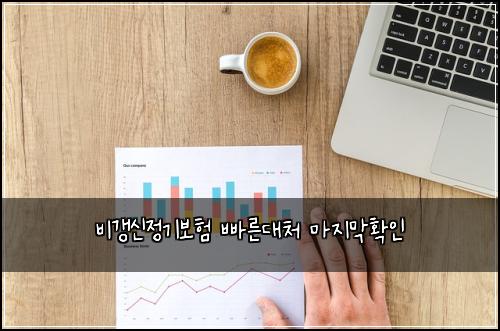 ๋น๊ฐฑ์ ์ ๊ธฐ๋ณดํ ๋น ๋ฅธ๋์ฒ ๋ง์ง๋งํ์ธ