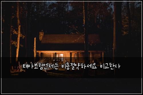태아보험언제든 비용절약하세요 비교한다