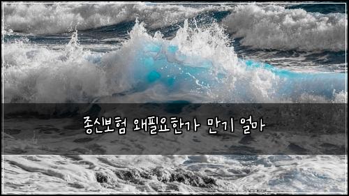 μ’
μ 보ν μνμνκ° λ§κΈ° μΌλ§
