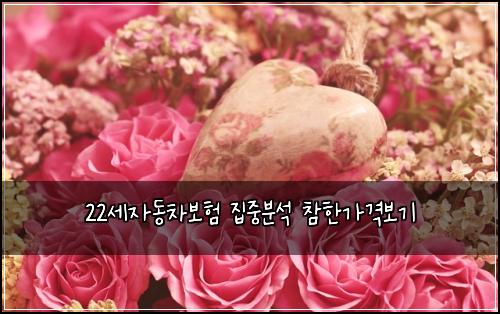 22세자동차보험 집중분석  참한가격보기