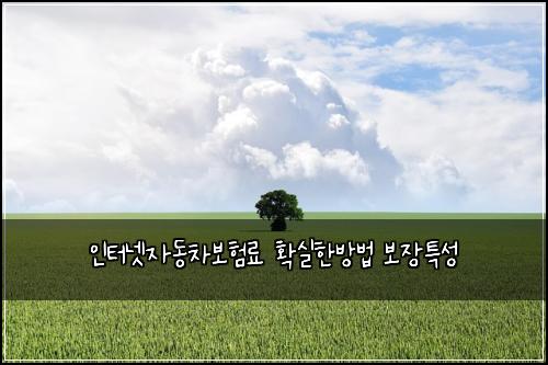 인터넷자동차보험료 확실한방법 보장특성