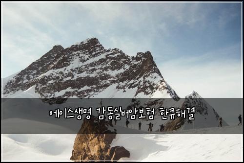 에이스생명 감동실버암보험 한큐해결 