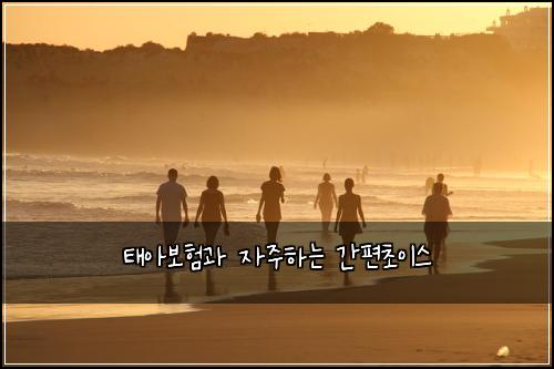 태아보험과 자주하는 간편초이스