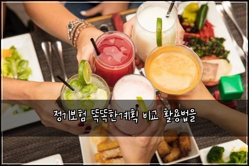 정기보험 똑똑한계획  비교 활용법을