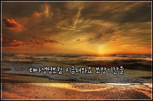태아생명보험 지금해봐요  보장기간을